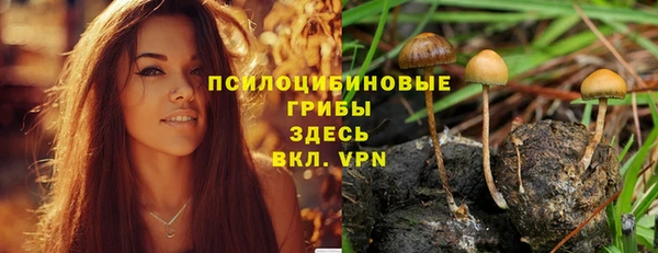 соль ск Липки