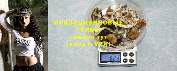 соль ск Липки